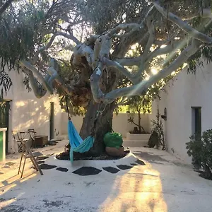 Bed and breakfast Patio Ii At